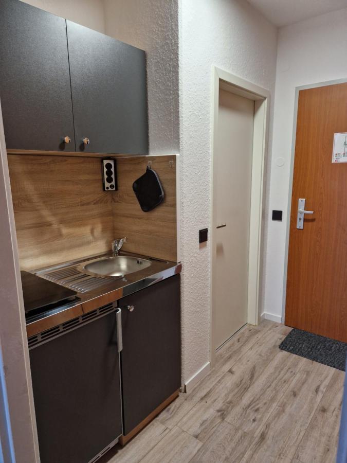 גוסלר Apartment Am Bocksberg II מראה חיצוני תמונה