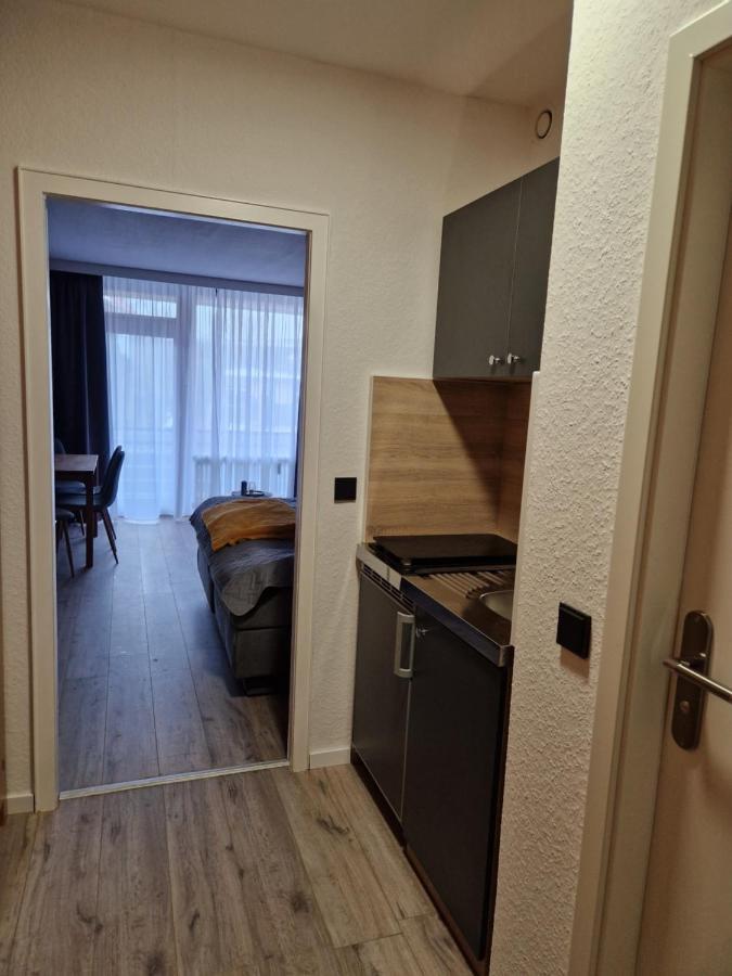 גוסלר Apartment Am Bocksberg II מראה חיצוני תמונה