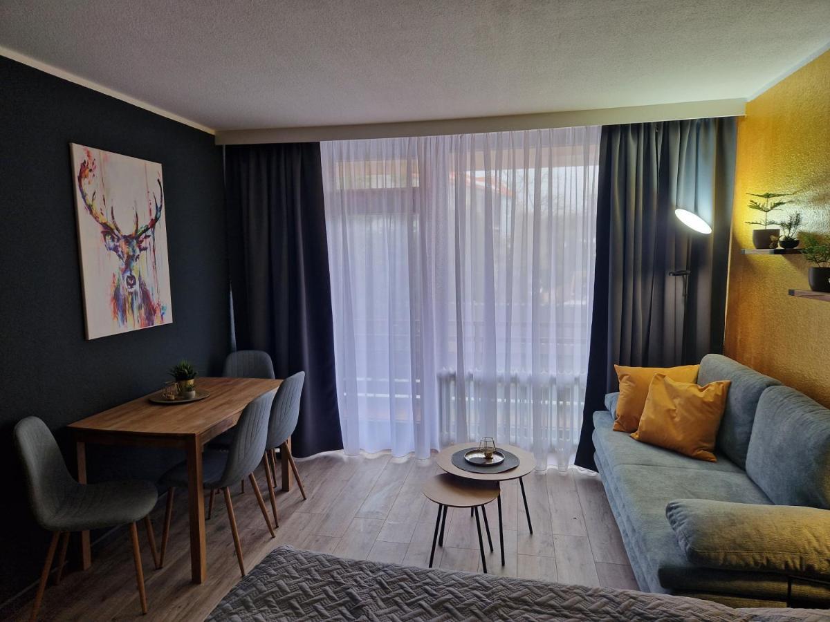 גוסלר Apartment Am Bocksberg II מראה חיצוני תמונה