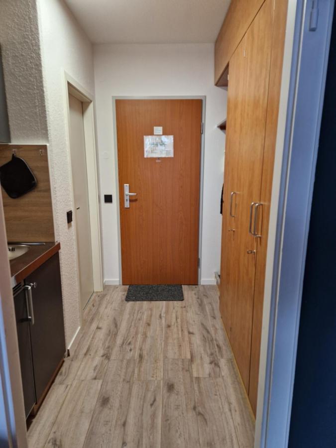 גוסלר Apartment Am Bocksberg II מראה חיצוני תמונה
