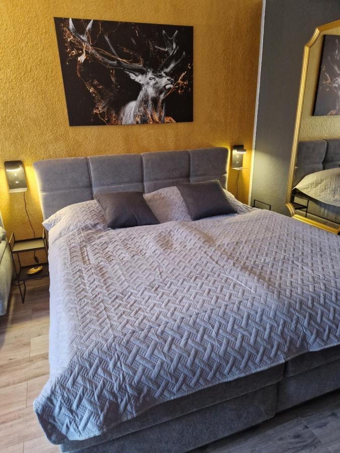 גוסלר Apartment Am Bocksberg II מראה חיצוני תמונה