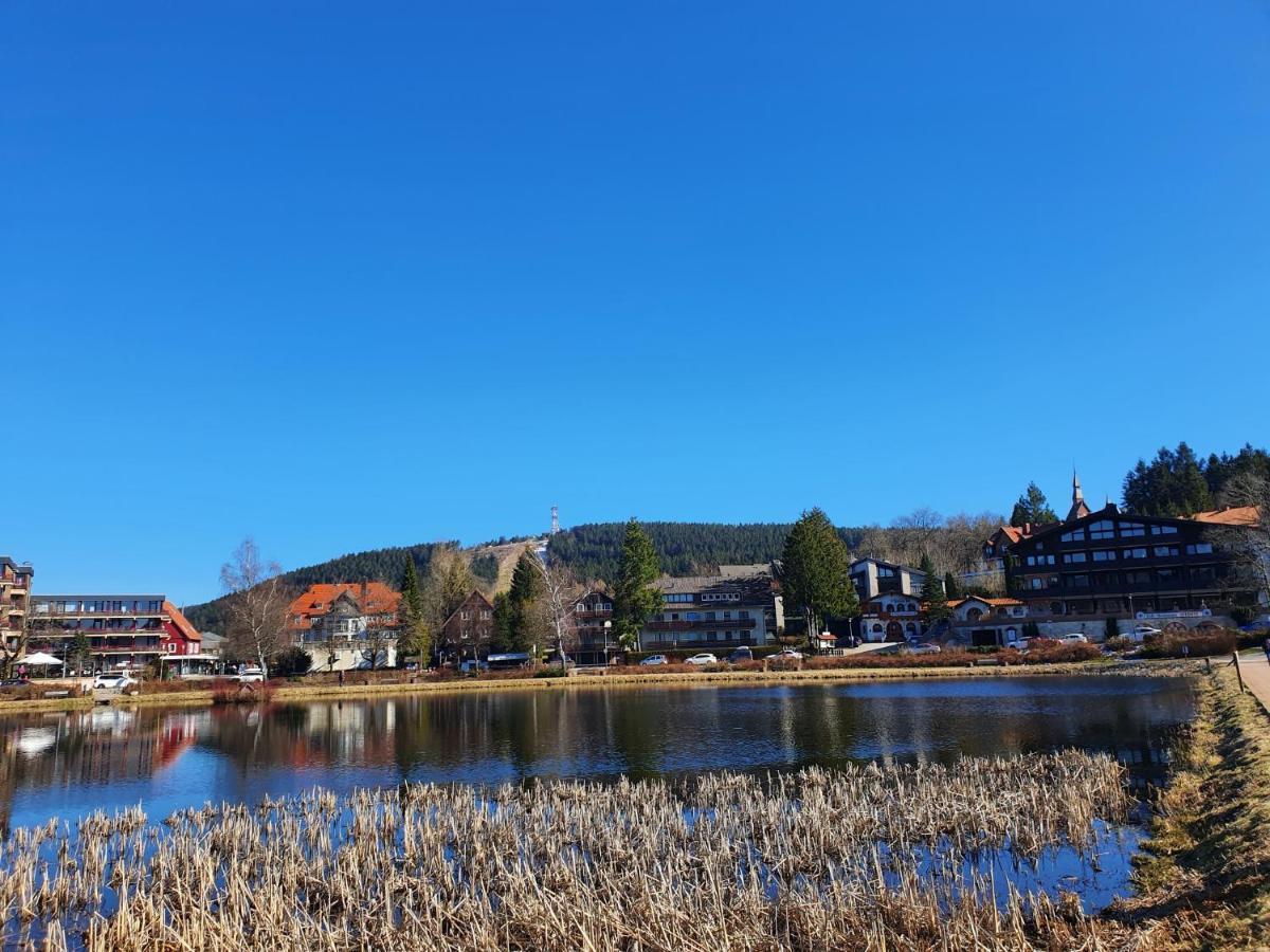 גוסלר Apartment Am Bocksberg II מראה חיצוני תמונה