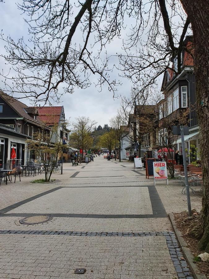 גוסלר Apartment Am Bocksberg II מראה חיצוני תמונה